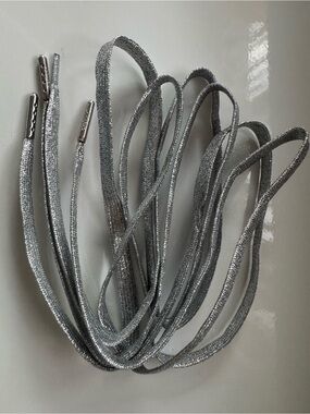 Golden Goose Silver Laces